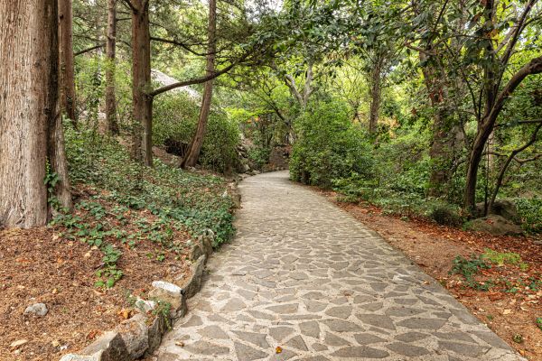 Stone Walkway Repair in Rockville