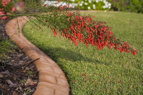 Brick Edging in Rockville