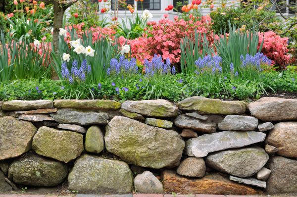 Stone Wall Hardscaping in Rockville