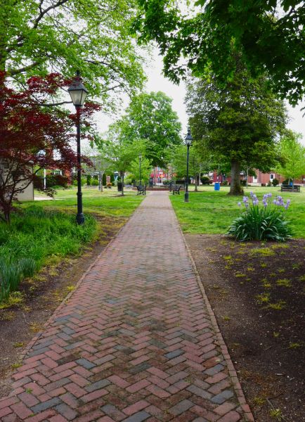 Brick Pathway Repair in Rockville