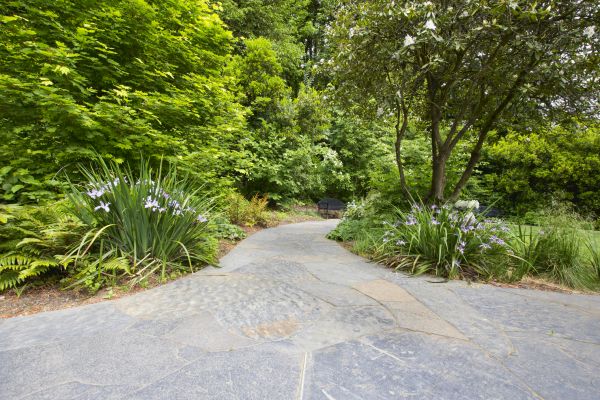 Stone Hardscape Service in Rockville