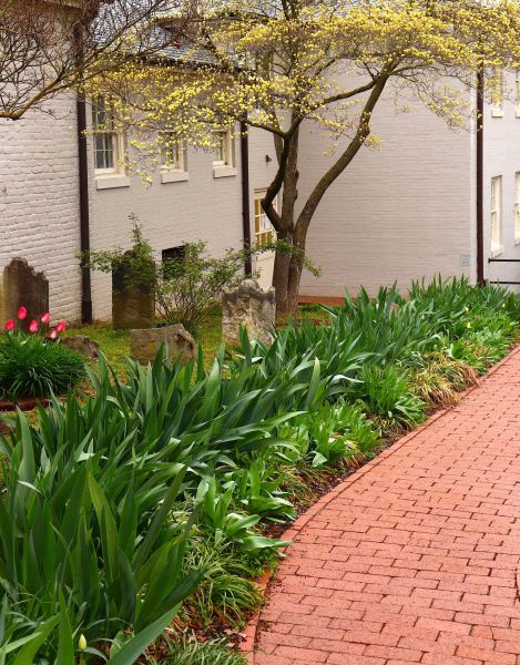 Brick Flatwork Repair in Rockville